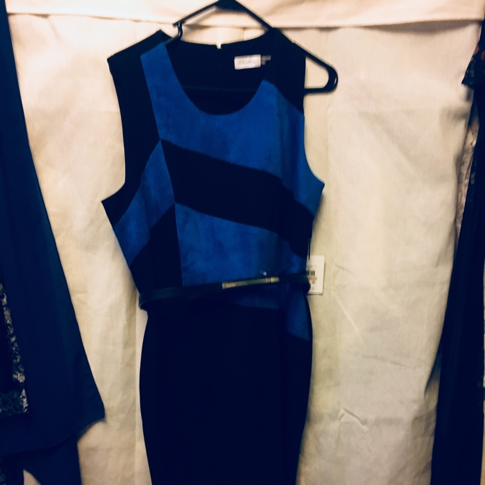 Dress only the blue is suede w/ blk belt knee leng